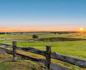 Rural / Farming commercial property for sale at 94 Bundocks Road Casino NSW 2470