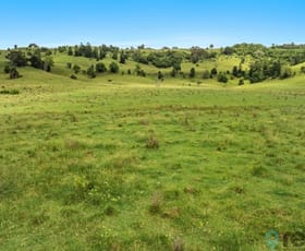 Rural / Farming commercial property for sale at 140 Parrots Nest Road South Gundurimba NSW 2480