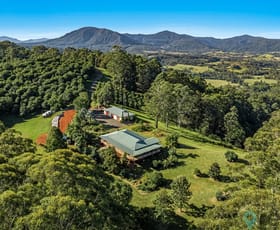Rural / Farming commercial property for sale at 60 Lodge Road Mountain Top NSW 2480