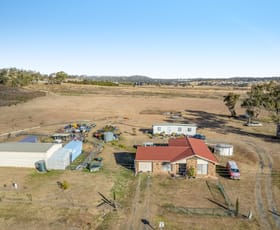 Rural / Farming commercial property for sale at 162 Morris Road Gowrie Junction QLD 4352