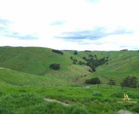 Rural / Farming commercial property for sale at 75 Fitzgerald Road Poowong East VIC 3988