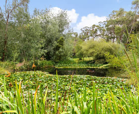 Rural / Farming commercial property for sale at 70 Landers Road Spring Hill VIC 3444