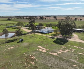 Rural / Farming commercial property for sale at Shady Gums Birganbigil Road Deniliquin NSW 2710