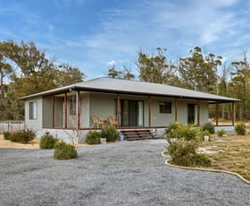 Rural / Farming commercial property for sale at 402 Badger Head Road Badger Head TAS 7270