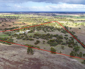 Rural / Farming commercial property sold at 57 Bob Morton Road Keith SA 5267