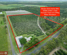 Rural / Farming commercial property for sale at 3767 Goodwood Road Elliott QLD 4670