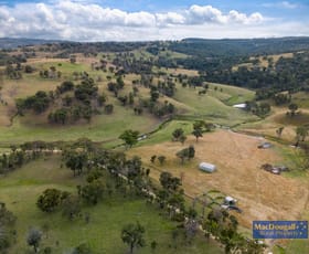 Rural / Farming commercial property for sale at 93 Armidale Gully Road Armidale NSW 2350