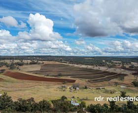 Rural / Farming commercial property for sale at 3911 Bundarra Road Inverell NSW 2360
