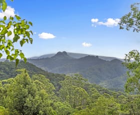 Rural / Farming commercial property for sale at 823 Tomewin Mountain Rd Currumbin Valley QLD 4223