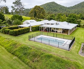 Rural / Farming commercial property for sale at 1278 Maleny-Kenilworth Road Maleny QLD 4552