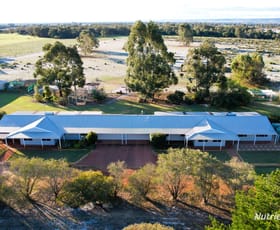 Rural / Farming commercial property sold at 30 Muckenburra Road Muckenburra WA 6503