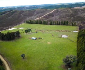 Rural / Farming commercial property for sale at 233 Logans Road Tumbarumba NSW 2653
