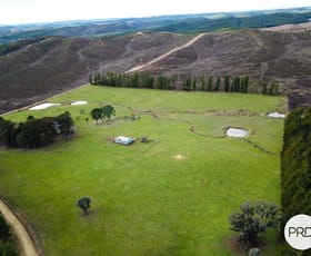 Rural / Farming commercial property for sale at 233 Logans Road Tumbarumba NSW 2653
