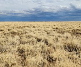 Rural / Farming commercial property sold at 5075 Cramsie Muttaburra Road Longreach QLD 4730
