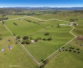 Rural / Farming commercial property for sale at 148 Collins Creek Road New Park NSW 2474