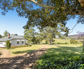 Rural / Farming commercial property for sale at 148 Collins Creek Road New Park NSW 2474