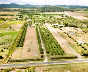 Rural / Farming commercial property for sale at 209 Malone Road Mareeba QLD 4880