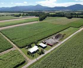 Rural / Farming commercial property for sale at 143 Harris Road Wrights Creek QLD 4869