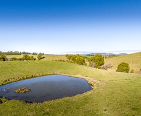 Rural / Farming commercial property sold at 500 Buffalo North Road Buffalo VIC 3958