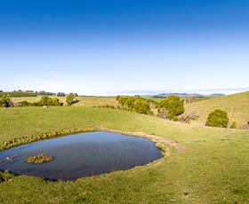 Rural / Farming commercial property for sale at 500 Buffalo North Road Buffalo VIC 3958