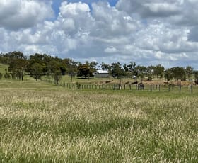 Rural / Farming commercial property for sale at 59489 Bruce Highway Midgee QLD 4702