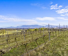 Rural / Farming commercial property for sale at Lots 50A-15 Westgate Road Armstrong VIC 3377