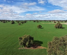 Rural / Farming commercial property for sale at "Roseleigh" Roseleigh Road Trundle NSW 2875