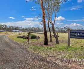 Rural / Farming commercial property for sale at 371 Cochranes Road Costerfield VIC 3523