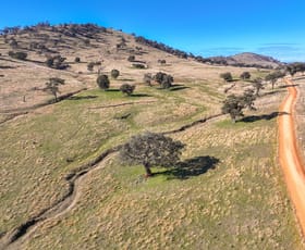 Rural / Farming commercial property for sale at 444 Hoares Lane Muttama NSW 2722