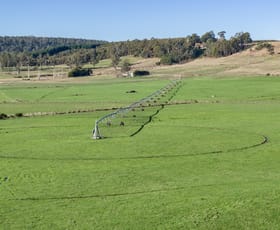 Rural / Farming commercial property sold at 548 Montana Road Montana TAS 7304