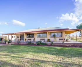 Rural / Farming commercial property sold at Farm 323 Koonadan Road Leeton NSW 2705