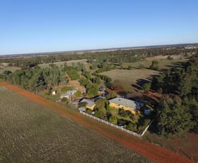 Rural / Farming commercial property sold at "Kimberley/34 Lachlan Street Grong Grong NSW 2652