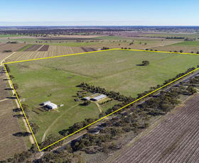 Rural / Farming commercial property sold at 5610 Riddoch Highway Padthaway SA 5271