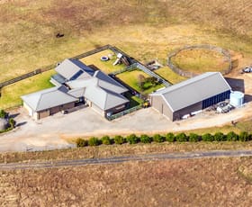 Rural / Farming commercial property for sale at 241 Wilton Park Road Wilton NSW 2571