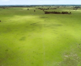 Rural / Farming commercial property sold at 'Broadmarsh' 4731 Yuleba - Surat Road Surat QLD 4417