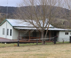 Rural / Farming commercial property sold at 321 Bukeiro Road Walcha NSW 2354