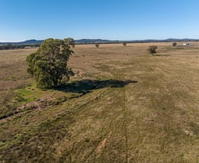 Rural / Farming commercial property sold at Glengarry 2696 Mitchell Highway Narromine NSW 2821