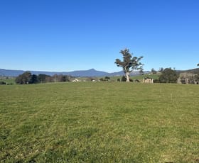 Rural / Farming commercial property sold at 140 Peddles Road Legerwood TAS 7263