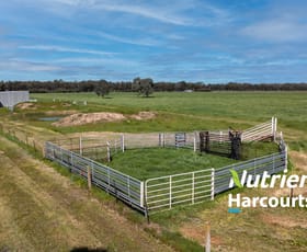 Rural / Farming commercial property for sale at 00 Londrigan-Tarrawingee Road Londrigan VIC 3678