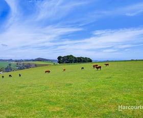 Rural / Farming commercial property for sale at 201 Natone Road Stowport TAS 7321