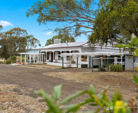 Rural / Farming commercial property sold at 496 Forest Plain Road Allora QLD 4362