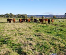 Rural / Farming commercial property sold at 207 Henriendi Lane Narrabri NSW 2390