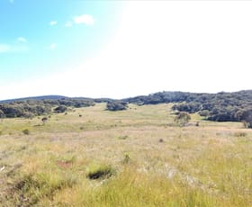 Rural / Farming commercial property sold at 23 Bobeyan Road Shannons Flat NSW 2630