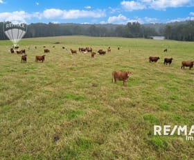 Rural / Farming commercial property sold at 209 Elms Road Wondecla QLD 4887