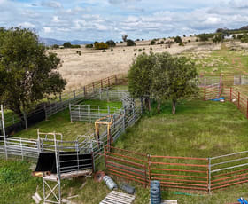 Rural / Farming commercial property for sale at The Wilgas/ Cobbadah Road Bingara NSW 2404