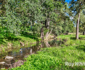 Rural / Farming commercial property for sale at 318 Scone Road Gloucester NSW 2422