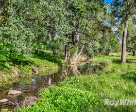 Rural / Farming commercial property sold at 318 Scone Road Gloucester NSW 2422