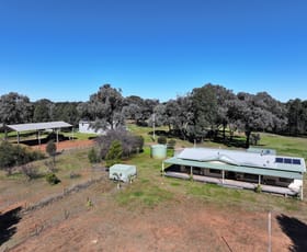 Rural / Farming commercial property for sale at 'Belmont' 71R Maiala Road Eumungerie NSW 2822