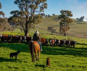 Rural / Farming commercial property for sale at 1404 Snowy Mountains Highway Tumut NSW 2720