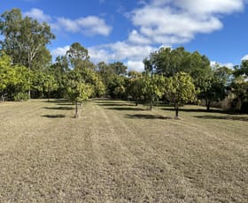 Rural / Farming commercial property sold at 296 Mount Dangar Road Bowen QLD 4805